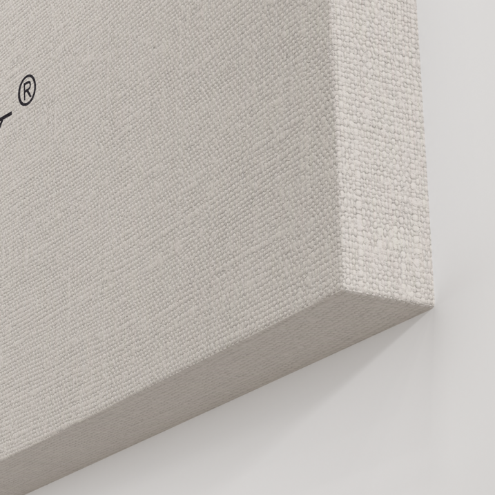 Tableau Pop Art football américain Burberry l Livraison offerte 48h